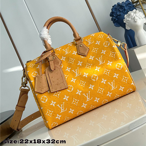 루이비통 스피디 P9 반둘리에 30 M21209 2025/신상